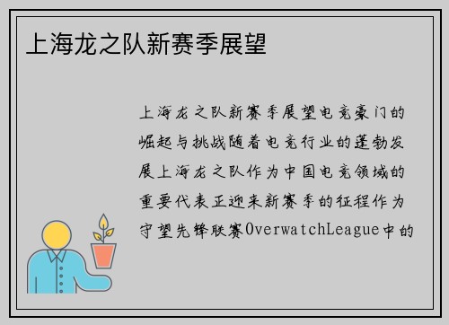 上海龙之队新赛季展望