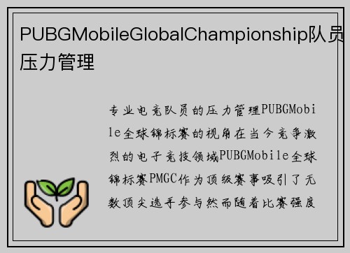 PUBGMobileGlobalChampionship队员压力管理