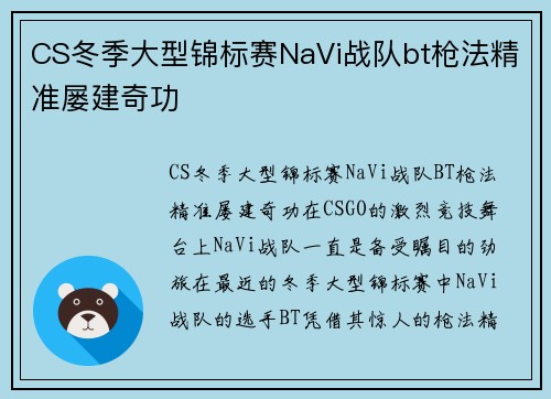 CS冬季大型锦标赛NaVi战队bt枪法精准屡建奇功